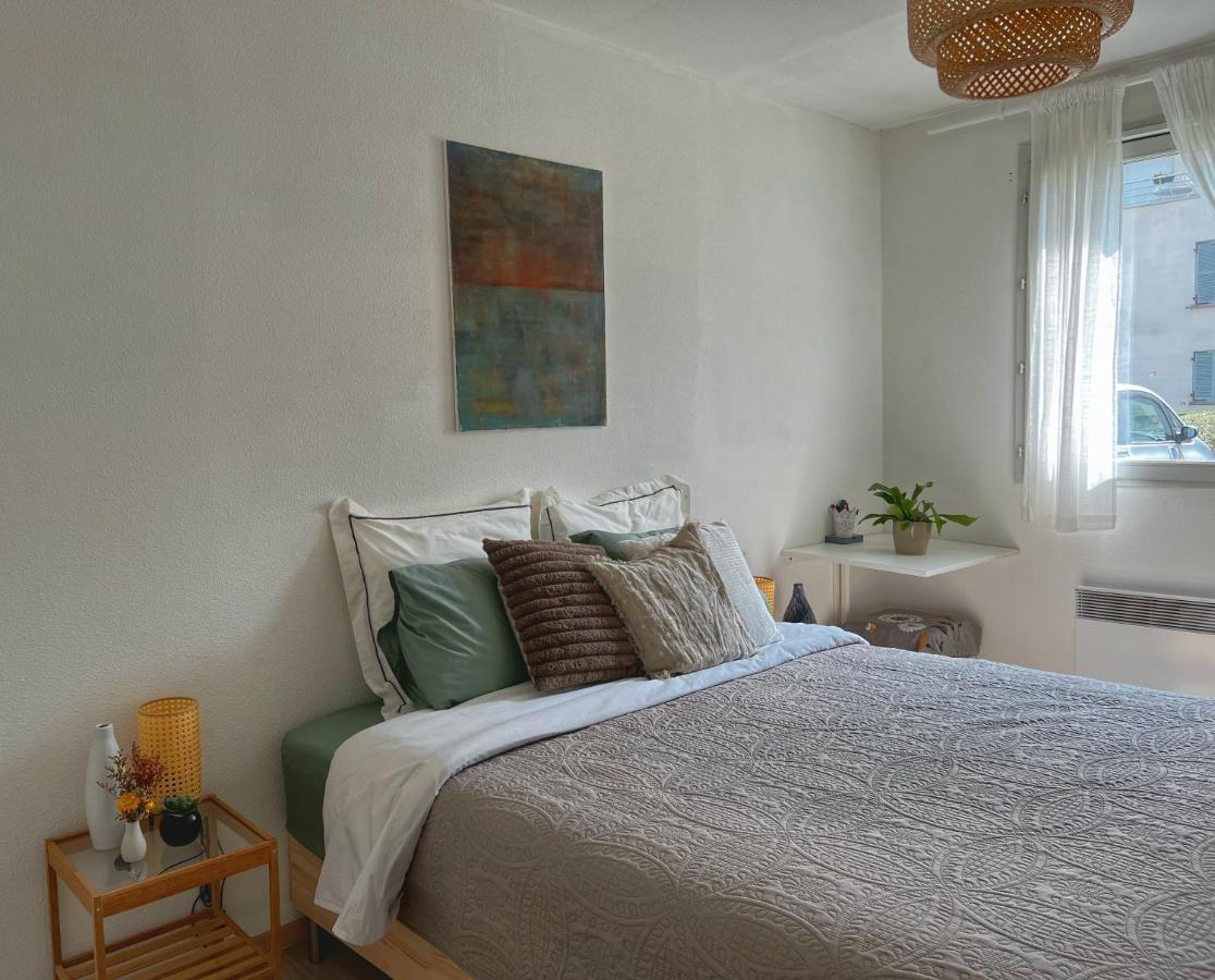 La Voulzie Appartement - Proche Centre Avec Parking Prive Provins Esterno foto